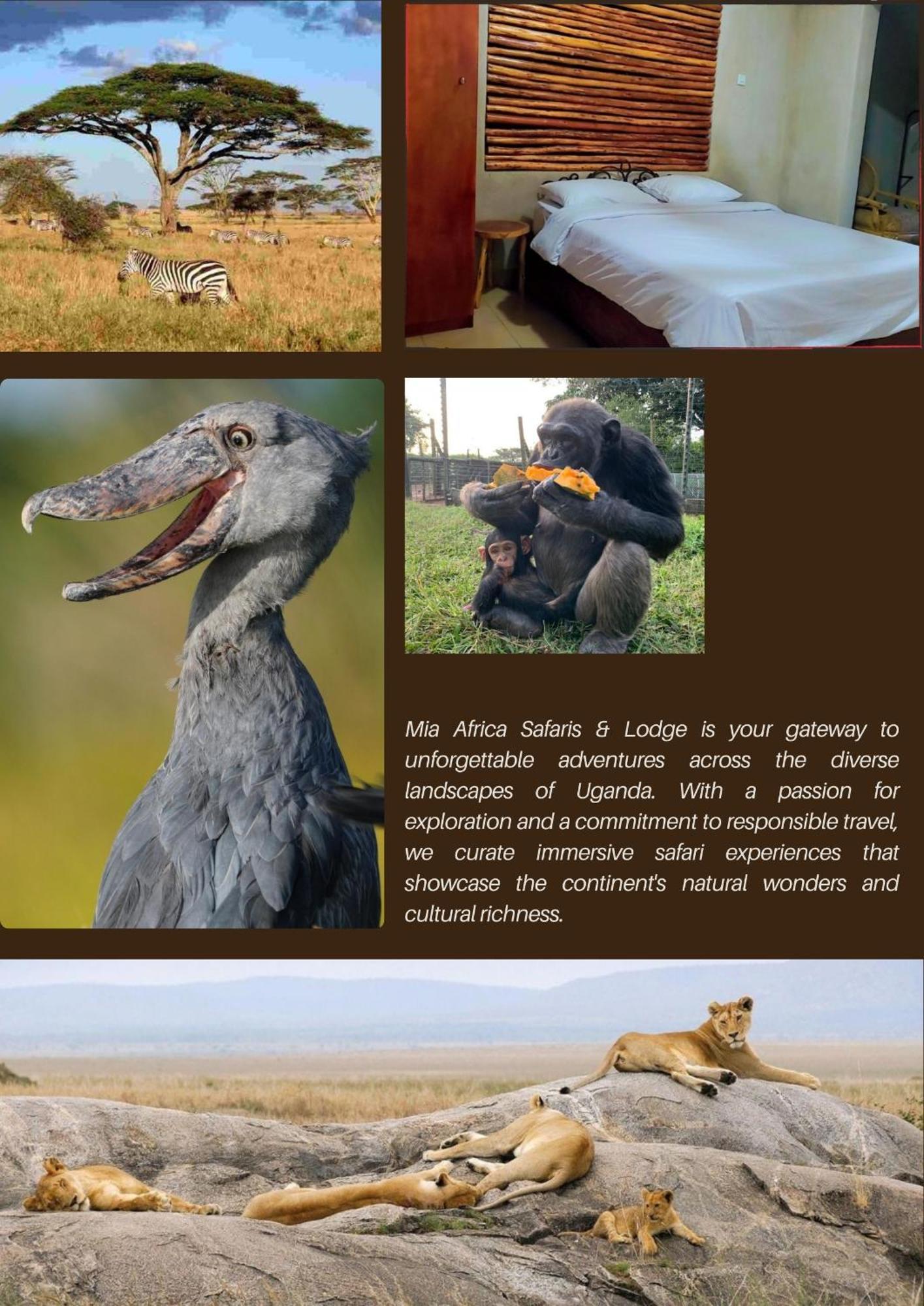Mia Safari Lodge And Restaurant เอนเทบเบ้ ภายนอก รูปภาพ